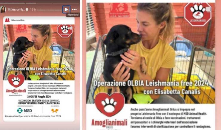 Elisabetta Canalis è testimonial dell'iniziativa per i cani più sfortunati