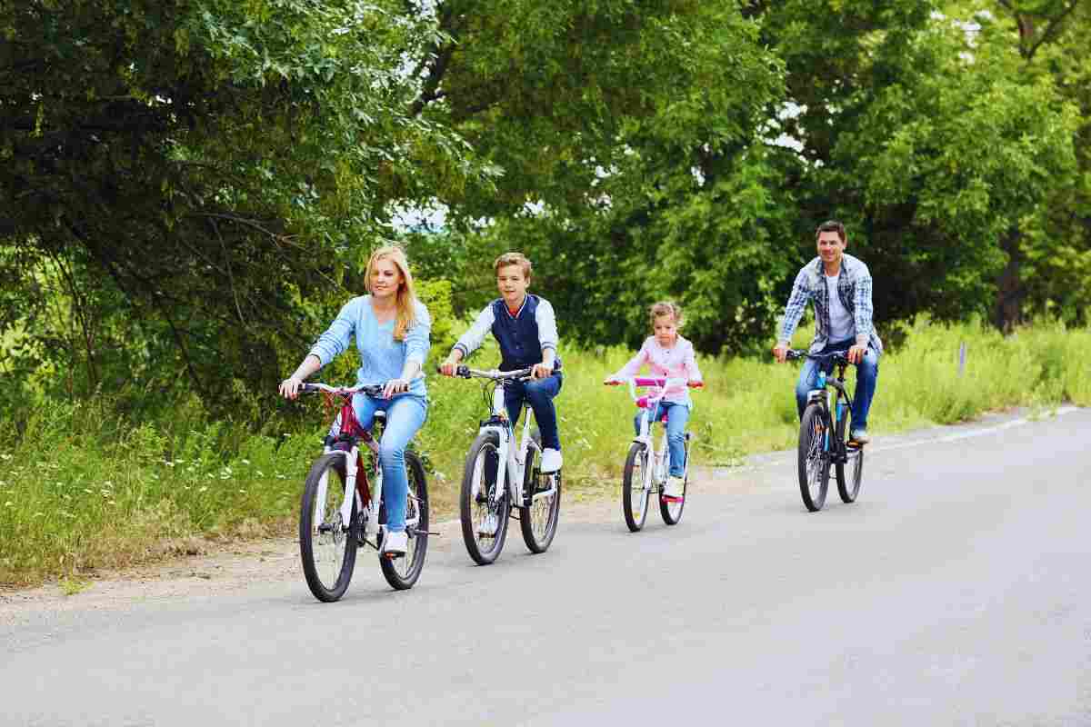 Bici motovietato