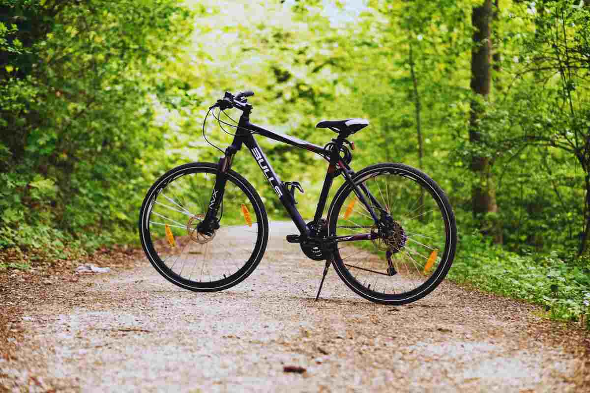 Bici e campione del mondo