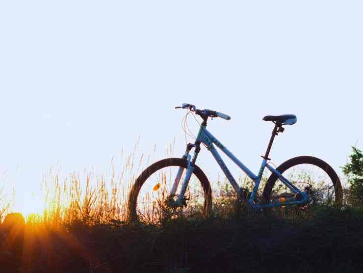 Biciclette svizzera