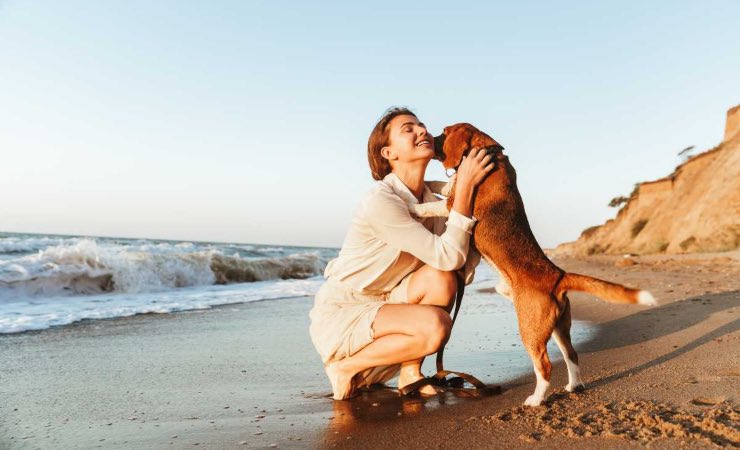 Cosa non fare con il cane in spiaggia