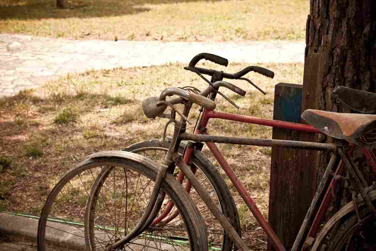 I modelli di biciclette che valgono una fortuna