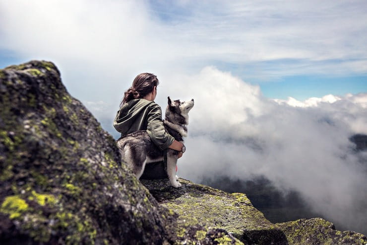 Come viaggiare con il cane